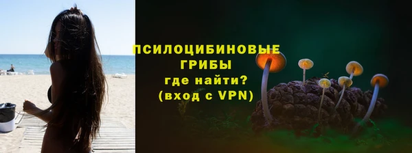 мдпв Лиски
