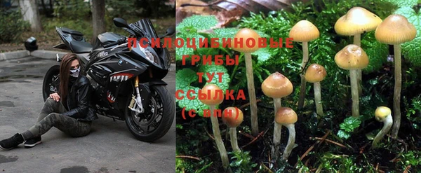 гидропоника Лихославль