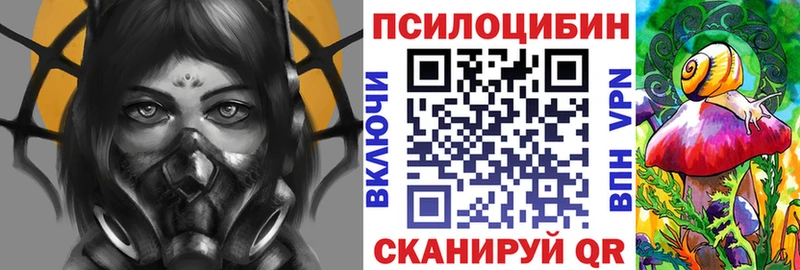 купить   Покровск  МЕГА онион  Галлюциногенные грибы Psilocybine cubensis 